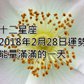 十二星座2018年2月28日運勢：能量滿滿的一天！