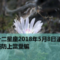 十二星座2018年5月8日運勢：謹防上當受騙