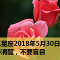 十二星座2018年5月30日運勢：保持清醒，不要盲目