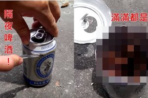 最狂殺蟑神器！只要將「隔夜啤酒」這樣做...滿滿一罐屍體讓人瞬間吐到胃抽筋！