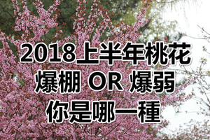 2018上半年桃花爆棚與爆弱的星座