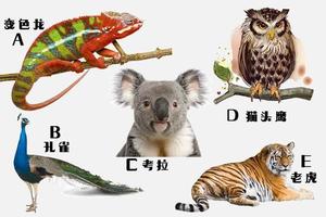 心理測試：假如你在森林遇到下列動物求救，你會救誰？測出你的個性