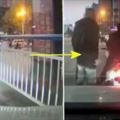 騎士綠燈不走「被叭回頭飆髒話」！3壯男爆氣下車「結局大快人心」網友嗨到翻掉！