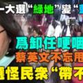 九合一大選「綠地」變「藍天」！為卸任哽咽時蔡英文不忘甩鍋：敗選怪民眾「帶不動」