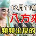 12月11號開始八方來財，貴人頻頻出現的生肖