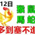 2月12日生肖運勢_馬、虎、兔大吉