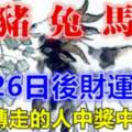 （羊、豬、兔、馬、牛）3月26日後財運臨門