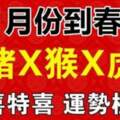 11月到春節大喜特喜，運勢極佳的生肖