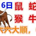 2月16日生肖運勢_鼠、蛇、龍大吉