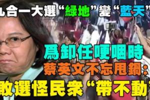 九合一大選「綠地」變「藍天」！為卸任哽咽時蔡英文不忘甩鍋：敗選怪民眾「帶不動」