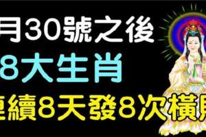 8月30號之後，八大生肖連續八天發八次橫財