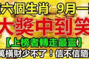 9月一到大獎中到笑，千萬橫財少不了的生肖