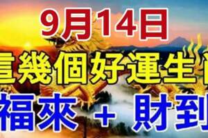 9月14日，這幾個好運生肖福來+財到