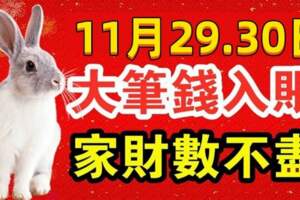 11月29.30日大筆錢入帳，家財數不盡的生肖