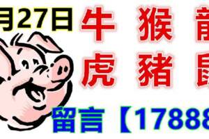 1月27日生肖運勢_牛、猴、龍大吉