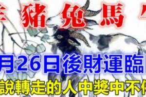 （羊、豬、兔、馬、牛）3月26日後財運臨門