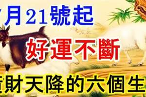 7月21號起好運不斷錢財滾滾來，橫財天降的六個生肖