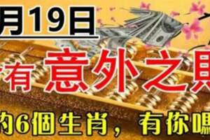 一筆意外之財進口袋，8月19日大財小財統統來的生肖