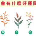 【草根神力占卜】最近會有什麼好運降臨？