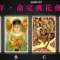 【克索莉愛情塔羅】2016年，命定桃花會來嗎?