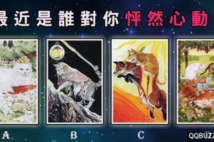 【英國古典貓咪塔羅】最近是誰對你怦然心動？