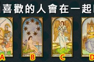 【雷貝絲塔羅】你和喜歡的人會更進一步嗎？