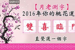 【月老測字】2016年你的桃花運程