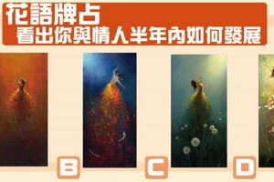 花語牌占！看出你與情人半年內如何發展