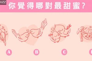 【法國戀愛鳥】測你的另一半在哪裡等著你？