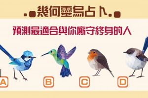 【幾何靈鳥占卜】測出誰才是你廝守終生的對象