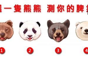 選一隻熊熊！測你的脾氣！