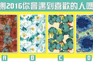 【愛情塔羅花語占卜】2016會遇到喜歡的人嗎？