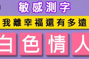 敏感測字！【白色情人】我離幸福還有多遠？