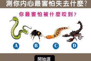 【準準的】測你內心最害怕失去的是什麼?