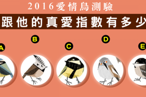  愛情鳥測驗：你跟他的真愛指數有多少？