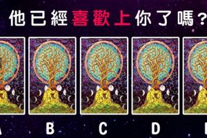 【樹神神準塔羅】他已經喜歡上你了嗎?