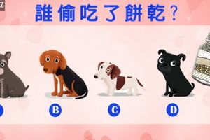 誰偷吃了餅乾?測你異性緣好還是同性緣好?