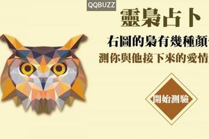 【靈梟占卜】右圖的梟有幾種顏色？測你與他接下來的愛情走向