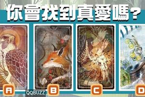 【萬物靈塔羅】你會找到真愛嗎?