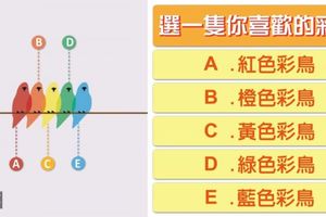 【彩鳥測驗】2016年你的桃花開在哪?