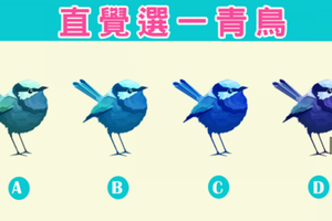 【幸福青鳥占卜】最近一個月你會桃花滿天飛嗎？