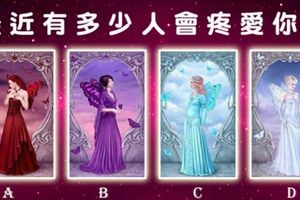 【哥本哈根公主塔羅】最近有多少人會疼愛你？