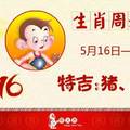 十二生肖每週運勢播報（5月16日—5月22日）