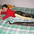 一名泰國3歲男童自稱蛇轉世的故事，而該男童的陳述也獲得相關人證的證實。原來不能隨隨便便吃蛇肉！