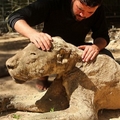 世上最恐怖動物園！因為這個原因，所有動物竟餓死成了「木乃伊」！看了令人超心酸！！