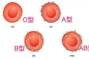 原來得病跟「血型」也有關！什麼血型要注意什麼健康隱患，非常重要！千萬要注意！