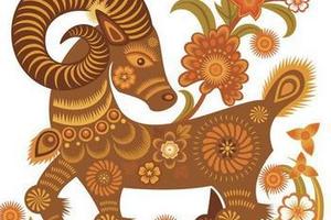 貴氣逼人！今年財富多多的三大生肖