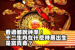 看過都說神準！十二生肖在什麼時辰出生，是富貴命？