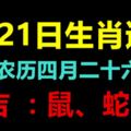 5月21日生肖運勢鼠、蛇、龍大吉