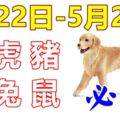 12生肖周運勢！牛、虎、豬、狗、兔、鼠！洪福齊天！（5月22日—5月28日）